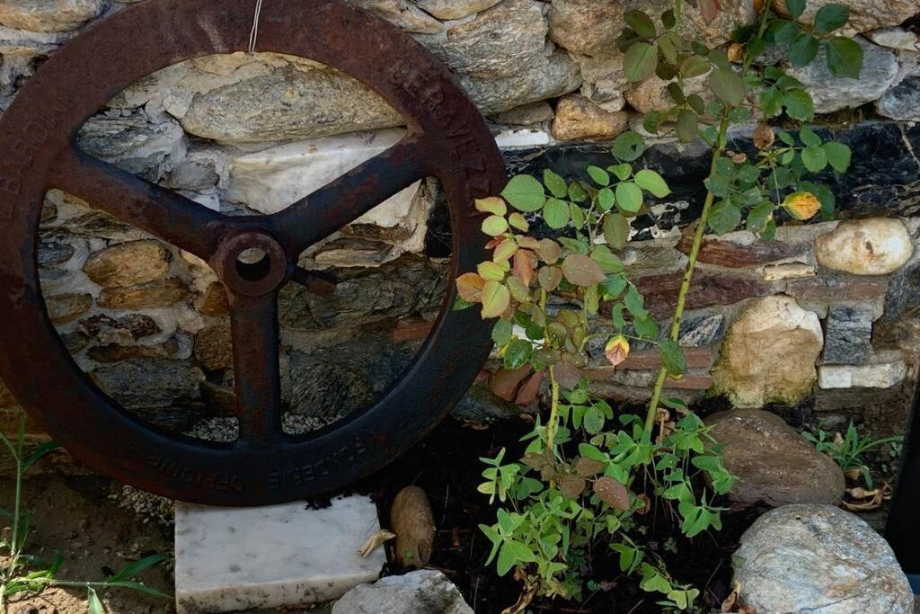 Antica Casa Nel Borgo * Pietrasanta